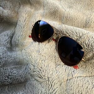 Ray-Ban Polarized Aviator Sunglasses